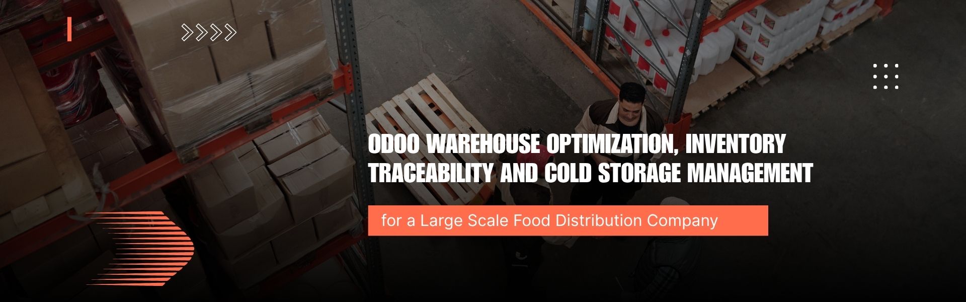 Odoo Warehouse Optimization, Inventory Traceability and Cold Storage Management for a Large Scale Food Distribution Company